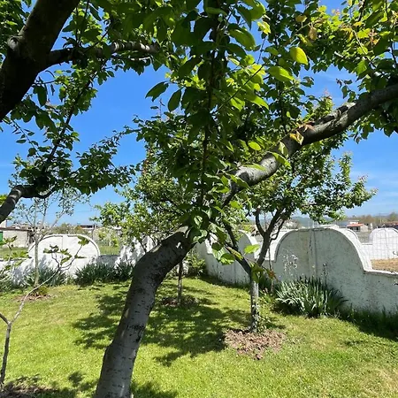 Gerea's Holiday House Durres